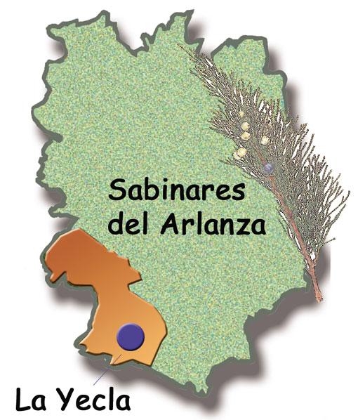  La Yecla y los Sabinares del Arlanza