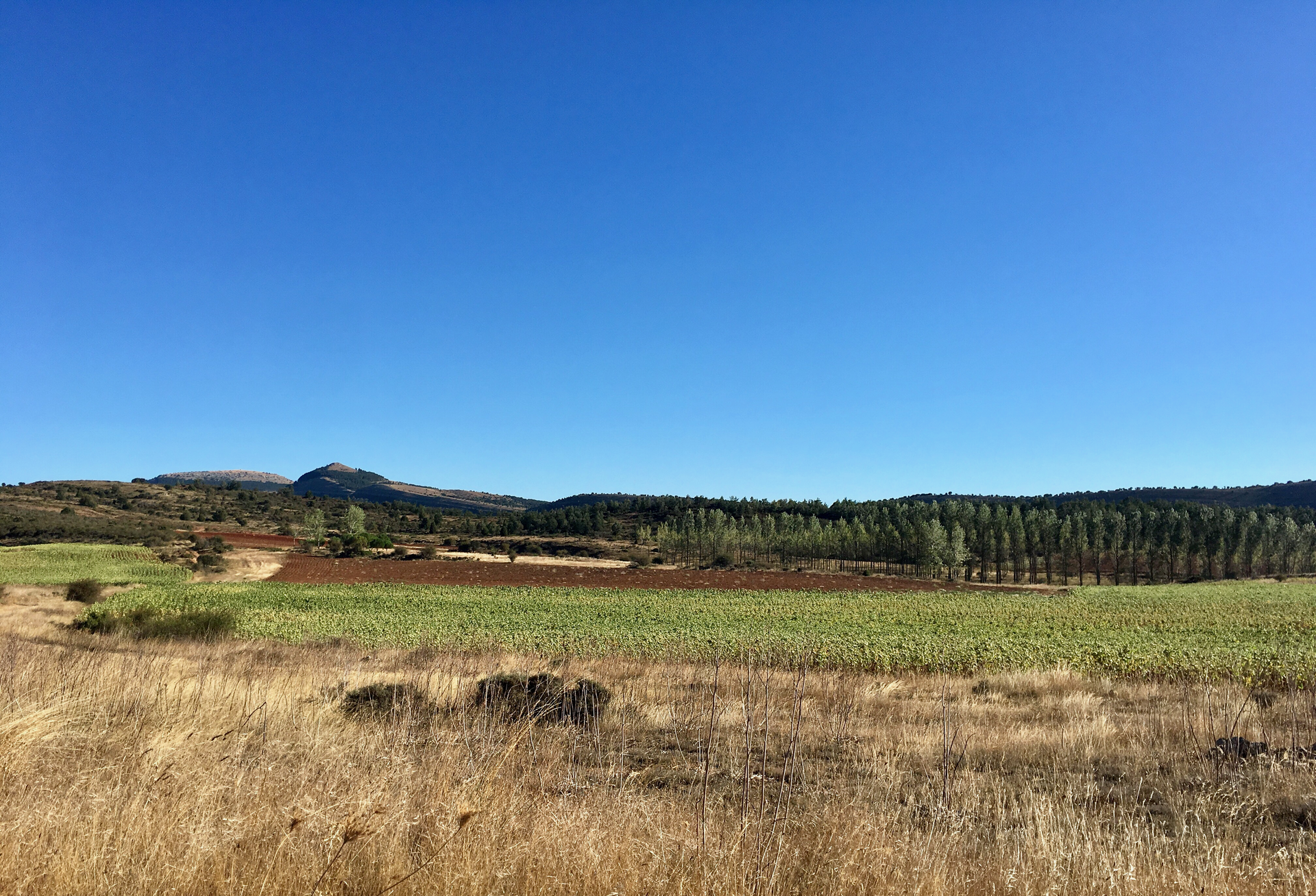 Camino a Quintanilla de las Viñas - Ermita Visigoda